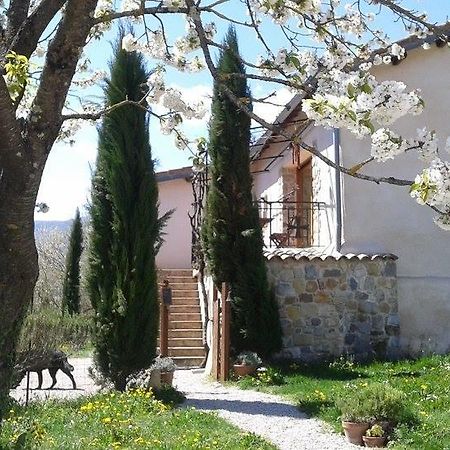 Bed and Breakfast La Chapelle Saint Gervais Sospel Esterno foto